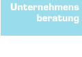 Unternehmensberatung